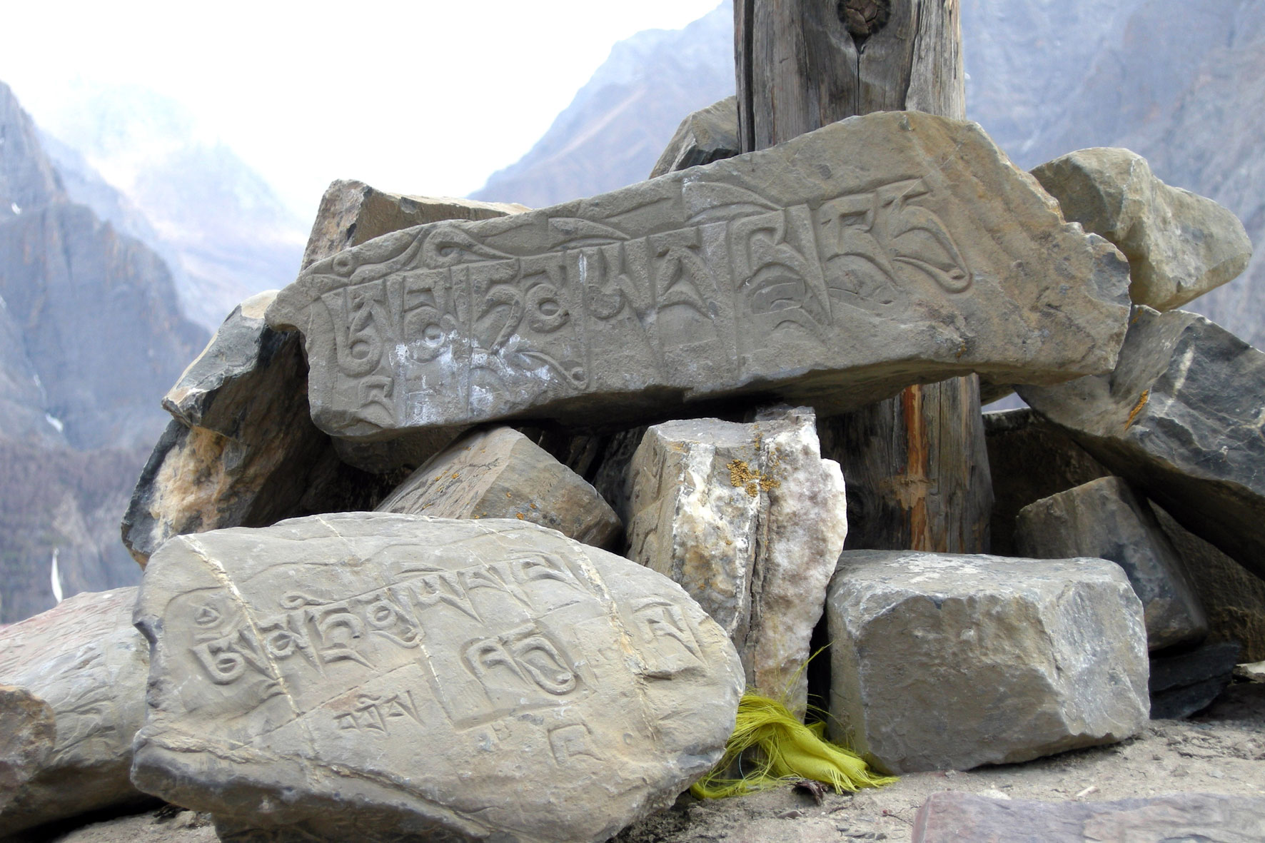 dolpo-caravan