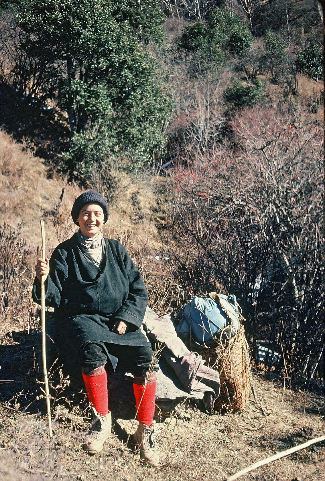 dolpo-caravan